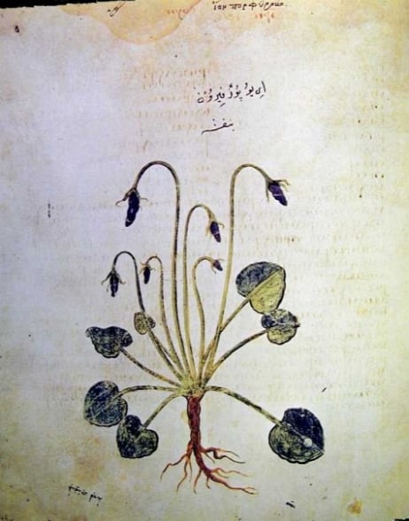 iini