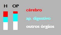 Crebro do homem e dos primatas. Tamanho relativo